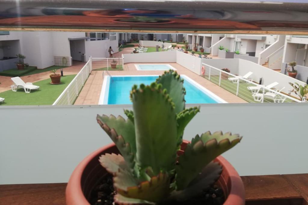 Blue Ocean Corralejo: Sunny Terrace, Pool, Wifi Apartment Exterior photo